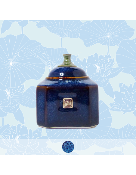 Ocean blue Hexagonal Tea Caddy