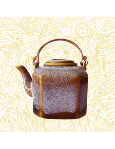 Teapot "Hexago" 700 2